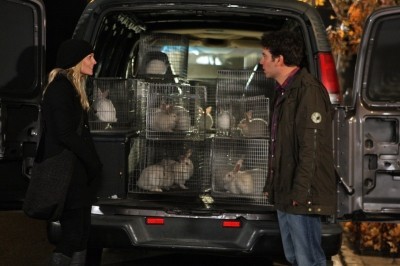 How I Met Your Mother Fotoğrafı