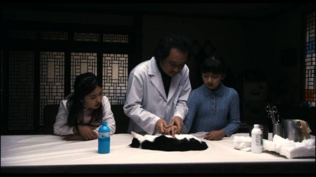 Members Of The Funeral Fotoğrafı