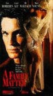 Şiddetin Gelini (1991) afişi