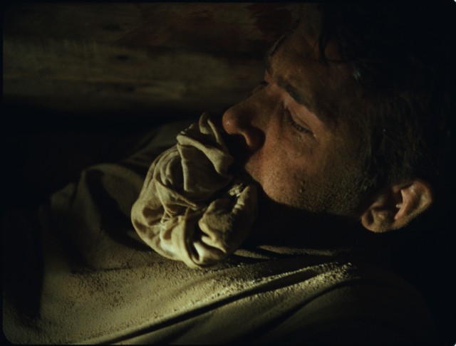 Toprak Altında Fotoğrafı