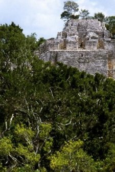 Calakmul, Huellas Del Presente (2006) afişi