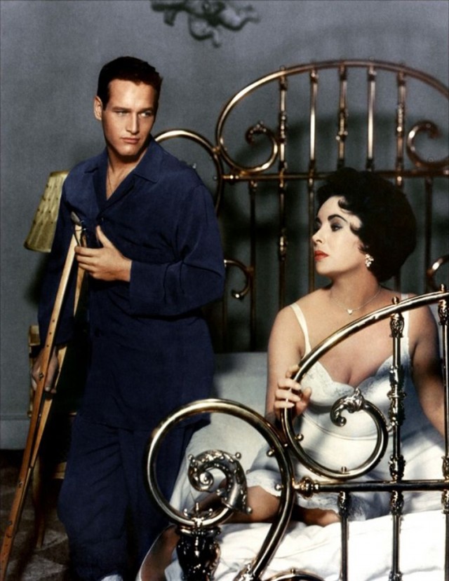 Kızgın Damdaki Kedi Fotoğrafı