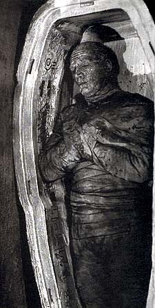 Mumya'nın Eli fotoğrafı