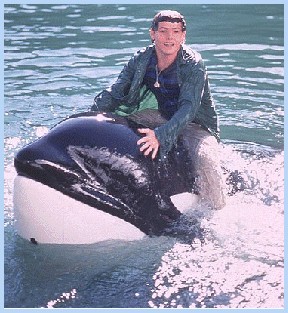 Özgür Willy Fotoğrafı