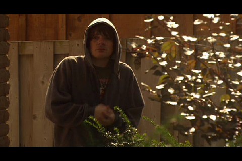 Lies And Crimes fotoğrafı