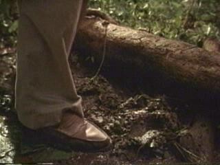 Men With Guns Fotoğrafı