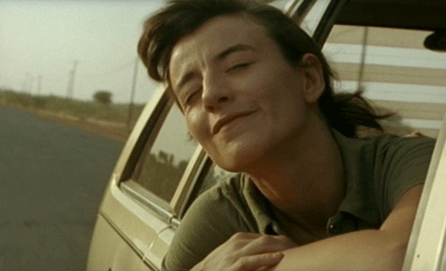 Lili Ve Baobab Ağacı fotoğrafı