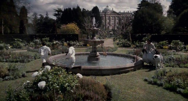 Kurt Adam Fotoğrafı