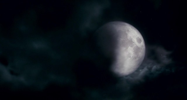 Kurt Adam Fotoğrafı