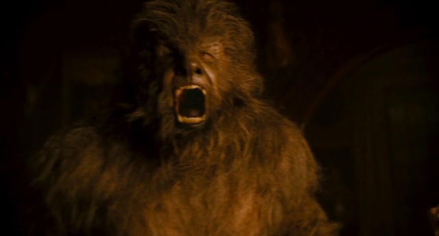 Kurt Adam Fotoğrafı