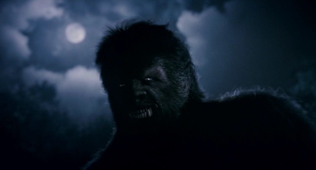 Kurt Adam Fotoğrafı