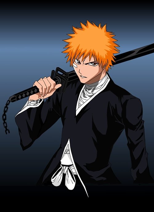 Bleach fotoğrafı