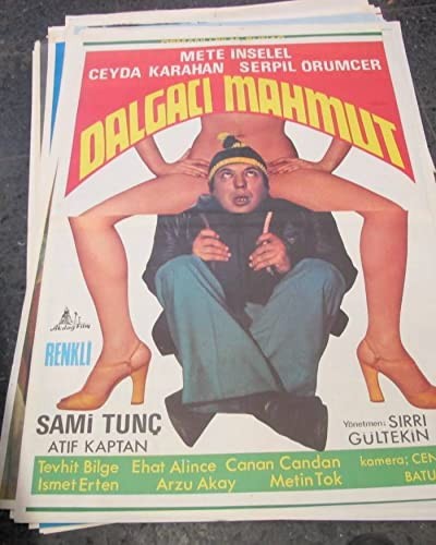 Dalgacı Mahmut (1976) afişi