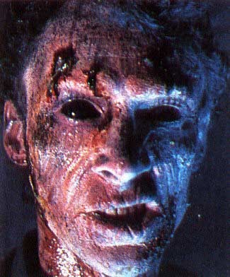 Dead Alive Fotoğrafı