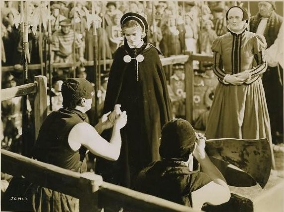 Tudor Rose Fotoğrafı