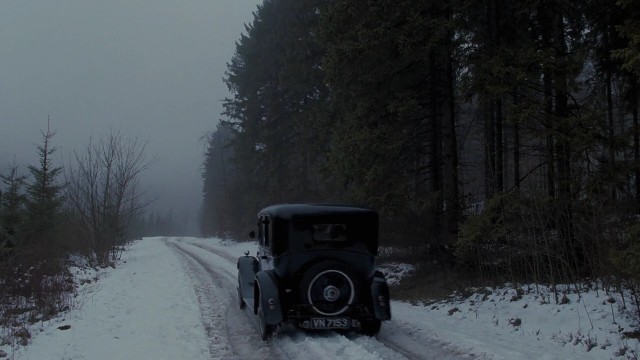 Zoraki Kral Fotoğrafı