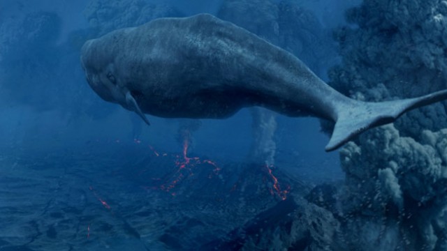 Ocean Odyssey Fotoğrafı