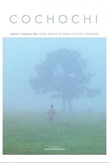 Cochochi (2007) afişi
