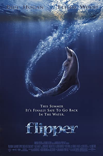Flipper (1996) afişi