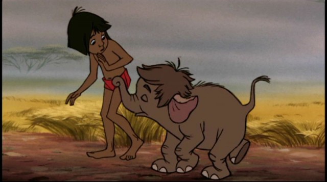 Orman Çocuğu Fotoğrafı