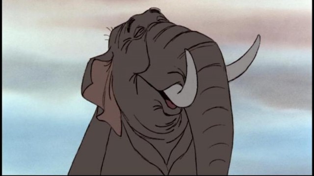 Orman Çocuğu Fotoğrafı