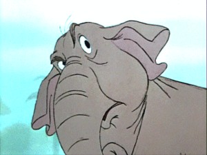 Orman Çocuğu Fotoğrafı