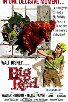 Big Red (1962) afişi