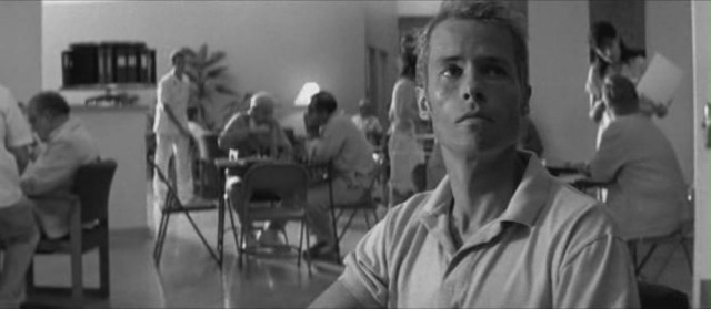 Akıl Defteri Fotoğrafı