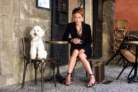 Schöne Witwen Küssen Besser(tv) fotoğrafı