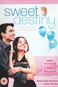 Pink Ludoos (2004) afişi