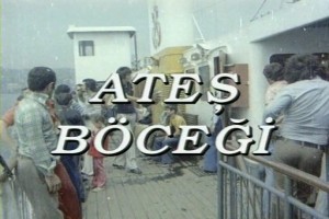 Ateş Böceği Fotoğrafı