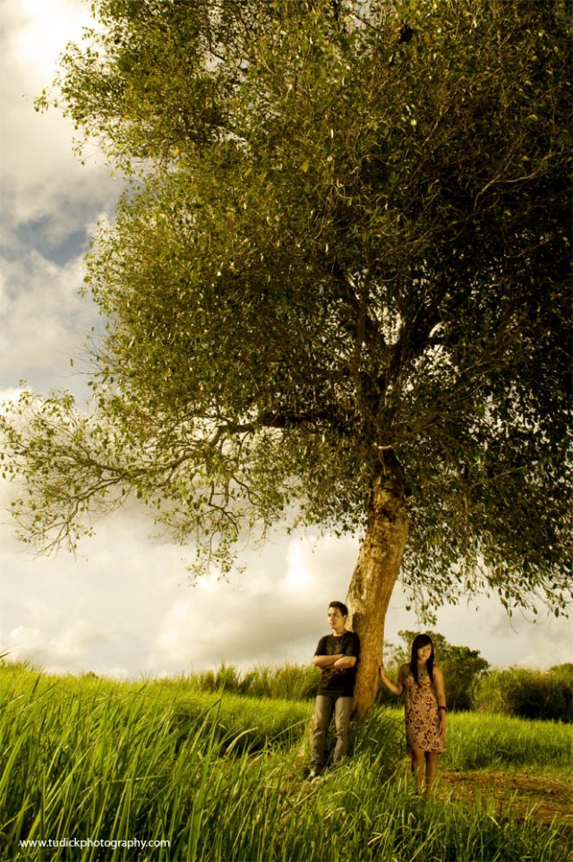 Dibawah Pohon Fotoğrafı