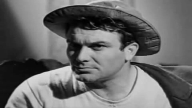 Fosforlu Cevriye Fotoğrafı