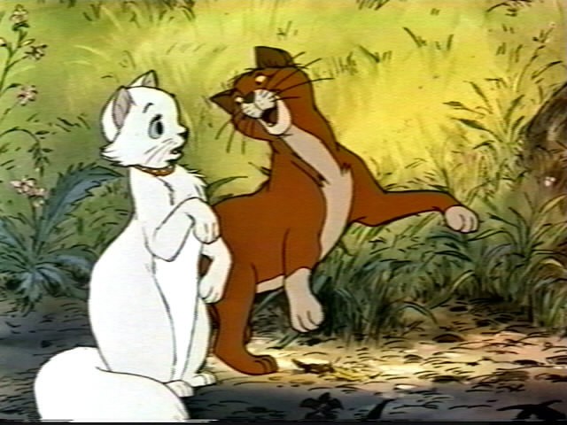 Aristokediler Fotoğrafı