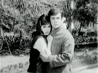 Adanalı Tayfur Kardeşler Fotoğrafı