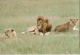 Great Rift Fotoğrafı