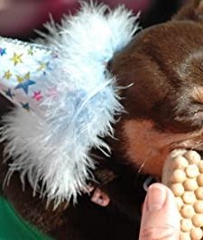 Fuzzy Little People (2007) afişi