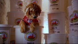 Kar Patileri Fotoğrafı