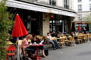 Herkes Kendi Kedisini Arar Fotoğrafı