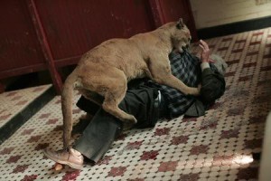 Yaratık Fotoğrafı