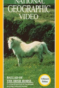 Ballad Of The ırish Horse (1985) afişi