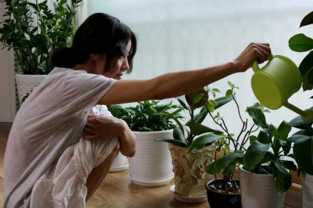 Vejeteryan Fotoğrafı