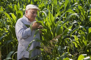 Hayattan Korkma Fotoğrafı