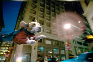 Underdog Fotoğrafı