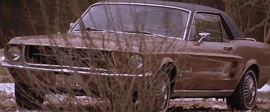 Göl Evi Fotoğrafı