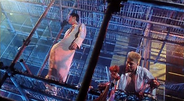 The Vampire Combat fotoğrafı