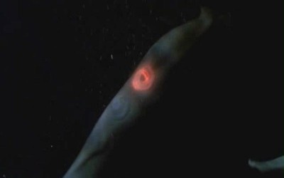 Ben Dört Numara Fotoğrafı