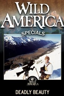 Deadly Beauty (2008) afişi