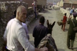 Diamond Dogs Fotoğrafı