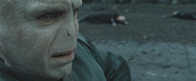 Harry Potter ve Ölüm Yadigarları: Bölüm 2 Fotoğrafı